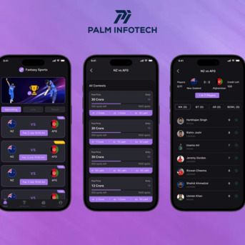 New York, Web Design & Development, IOS Application Development Services For Growing Businesses - Palm Infotech