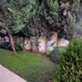 JOD 18000/year,  3 BR,  200 Sq. Meter,  Ground Floor Apartment For Rent In Abdoun