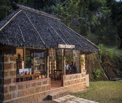 Kerala, Travel, Mountain Shadows Resort, Wayanad