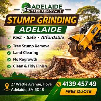 Sydney, Farm/Garden, Affordable And Professional Stump Grinding Adelaide Services