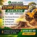 Affordable And Professional Stump Grinding Adelaide Services