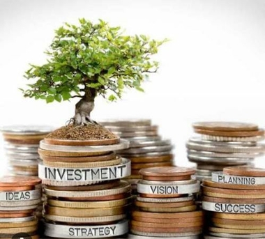 Brussels, Business Partners, Business Partner