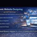 Dynamic Website Designing Company &ndash; Om Soft Solution