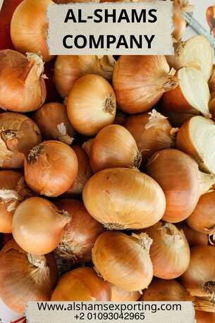 Tirana, Farm & Garden, FRESH ONION