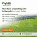 INR 0,  00 Sq. Yard,  Looking For The Best Property To Buy In Bangalore? Invest Now