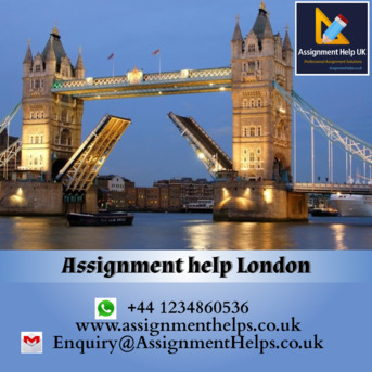 London, Education, Why Should You Trust Assignment Help London For Your Work?