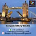 Why Should You Trust Assignment Help London For Your Work?