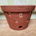USD 14,  Orchid Pot For Sale: Perfect Foundation For Healthy, Blooming Orchids