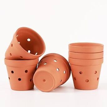 New York, Farm & Garden, USD 14,  Orchid Pot For Sale: Perfect Foundation For Healthy, Blooming Orchids