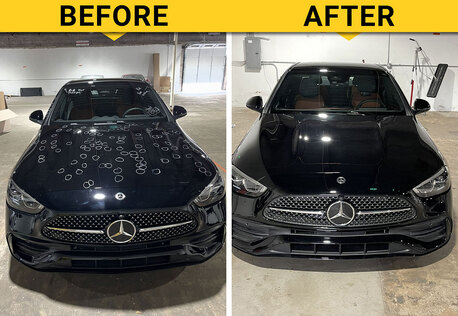 New York, Business, Expert Paintless Hail Dent Repair Services