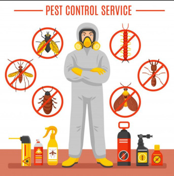 Al Sharafeyah, Pest Control, ✅✅✅ PEST CONTROL & HOME CLEANING &ndash; JEDDAH ✅✅✅