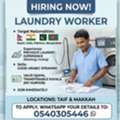 Laundry Worker
