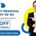 Mice Removal Service &ndash; ALCO Animal & Pest Control