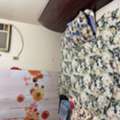 SAR 1200/month,  Furnished Room Available In Family Building For Executive Bachelor