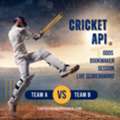 Best Cricket API For Live Odds, Scores & Betting Data | FantasyGameProvider