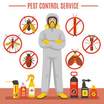 Dubai, Pest Control, Cockroach Exterminator Dubai | Professional Roach Control Services | +971567526970