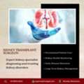 Expert Kidney Transplant Surgeon In Mumbai | Comprehensive Kidney Care