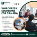 WordPress Website And Hosting | Tanvix Technologies