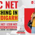 UGC NET Paper 1 Coaching In Chandigarh | Expert Classes At NTA UGC NET Academy