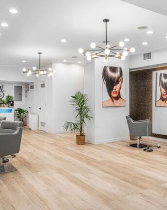 New York, Businesses For Sale, Blonde Highlights Specialist Nyc
