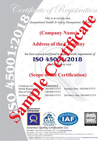 Noida, Business, ISO 45001 Occupational Health & Safety Certification Services