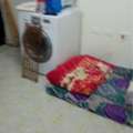 SAR 250/month,  Studio,  I Am Offering Bed Space