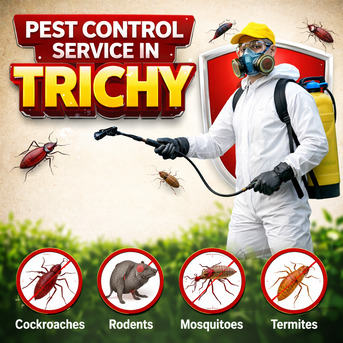 Chennai, Business, Best Pest Control Solutions In Trichy For Homes And Businesses