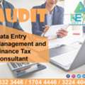 Audit Data Entry Management And Finance Tax Consultant