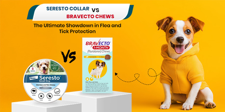 New York, Pet Supplies, USD 39,  Seresto Collar Vs Bravecto Chew - Which One Is Best For Your Dogs?