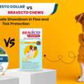 USD 39,  Seresto Collar Vs Bravecto Chew - Which One Is Best For Your Dogs?