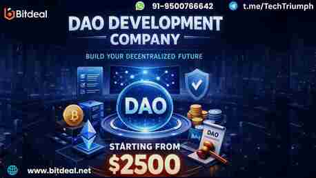 New York, Business, Start Your Decentralized Journey With Blockchain DAO Development
