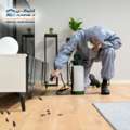 Pest Control In Dubai &ndash; Safe & Reliable Services By AnnexGM