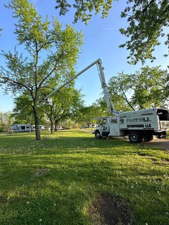 Chicago, Business, Farrell Enterprises, LLC