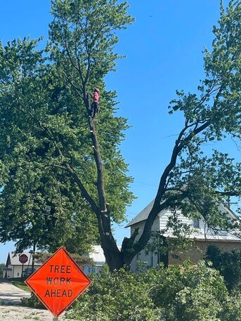 Chicago, Business, Farrell Enterprises, LLC