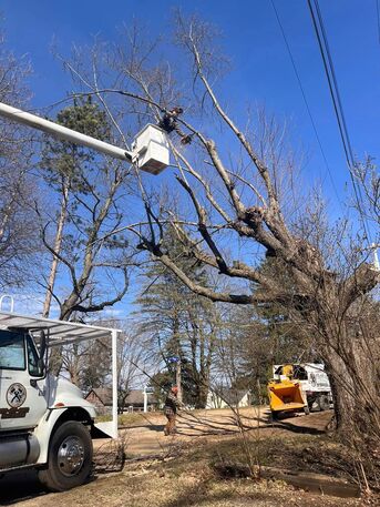 Chicago, Business, Farrell Enterprises, LLC