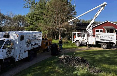 Chicago, Business, Farrell Enterprises, LLC