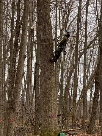 Chicago, Business, Farrell Enterprises, LLC