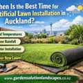 When Is The Best Time For Artificial Lawn Installation In Auckland?