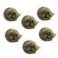 USD 29,  Choose The Right Size Brass Knobs For Drawers And Wardrobes- Perilla Home