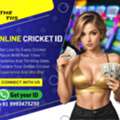 Online Cricket ID  |  THE TIIS