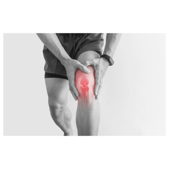 Mumbai, Health, Joint Pain Knee And Hip Replacements Specialist