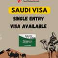 We Are Providing SAUDI VISIT VISA For Single Entry Visa Available For  Best Rate.