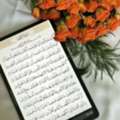 Online Quran Teachers Available