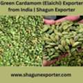 Green Cardamom (Elaichi) Exporter From India | Shagun Exporter