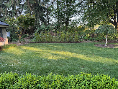 Surrey, Business, Lushgreen Landscapers Ltd. | Landscaper | Landscaping Company Surrey BC