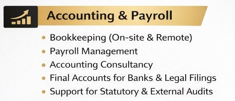 Manama, Accounting, Professional Part-Time Accounting For Your Business At 49 BD