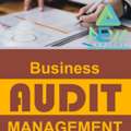 Business Audit Management