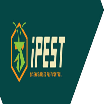 New York, Pest Control, IPest Solutions College Station