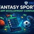 Custom Fantasy Sports App Development Services For Businesses