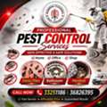 Professional Pest Control Service &ndash; Without Smell & 100% Safe Treatment /